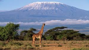 Mt.Kilimanjaro.